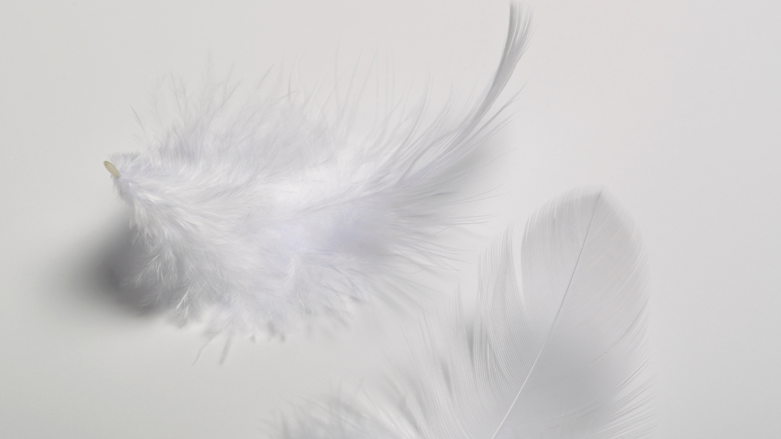 布団乾燥機でダウンジャケットをふわふわにする方法と注意点を解説